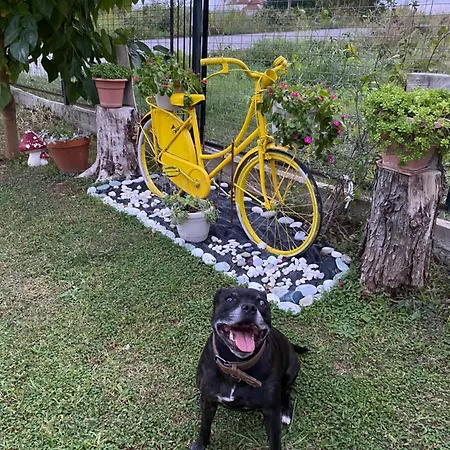 Lina Ferienhaus Edessa