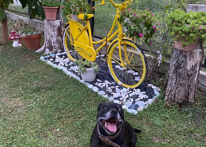 Lina Σπίτι διακοπών Έδεσσα